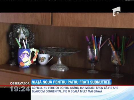 Viaţă nouă pentru cei patru fraţi subnutriţi