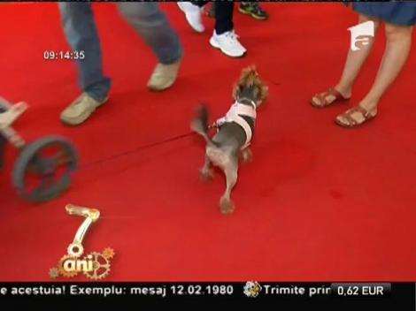 Cel mai mare târg dedicat animalelor de companie