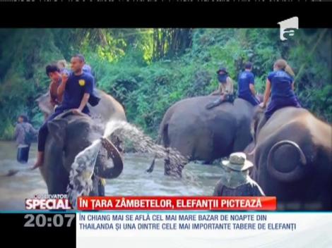 Special! În ţara zâmbetelor, elefanţii pictează