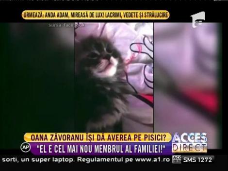 Oana Zăvoranu îşi dă averea pe pisici