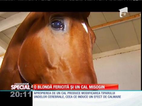 Special! O blondă fericită şi un cal misogin
