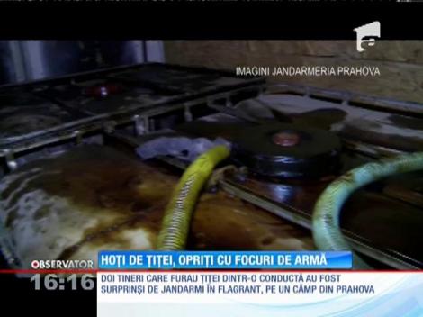 Hoţi de ţiţei, opriţi cu focuri de armă