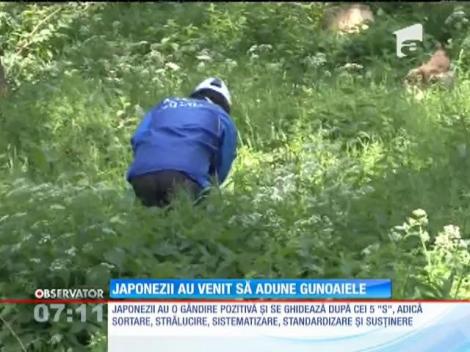 În Japonia fac legea în lumea afacerilor, în România au făcut munca de jos
