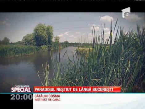 SPECIAL! Delta Neajlovului, paradisul neștiut de lângă București