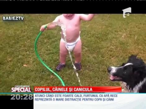 Special! Copilul, câinele și canicula