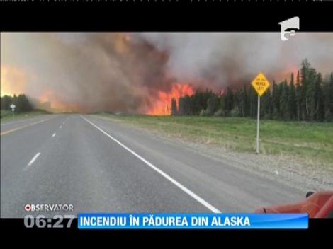 Un incendiu devastator a cuprins pădurile din statul american Alaska