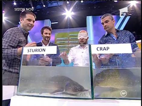 Cosmin Seleşi, sperietură zdravănă la “Te pui cu blondele?”