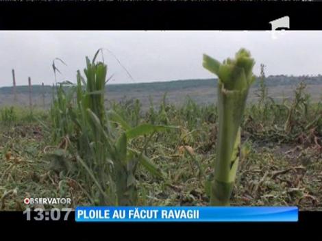 Ploile au făcut ravagii în mare parte din țară