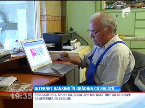 Producătorii români devin experţi în navigatul pe internet