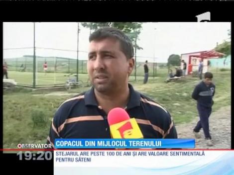 Teren de fotbal construit în jurul unui copac