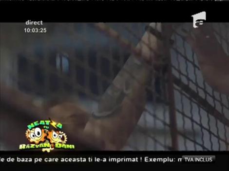 Soundland feat. Alexandra Ungureanu - "Atât de uşor"