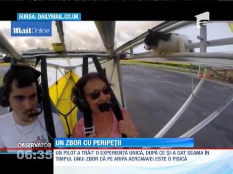 O pisică a avut parte de o călătorie gratuită pe aripa unui avion