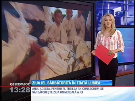 Ziua universală a iei, celebrată în toată lumea