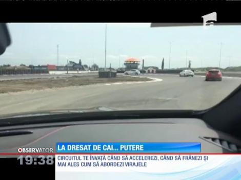 Cum se ţin în frâu bolizii de sute de cai putere