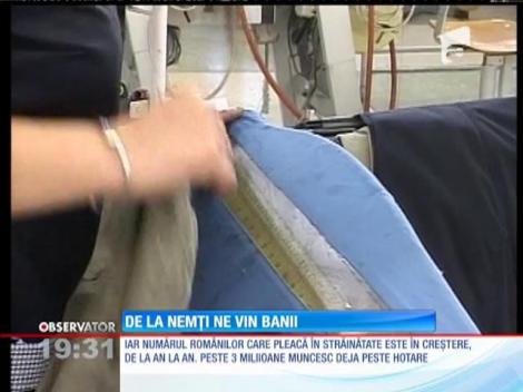 Banii nu mai vin de la căpşunari