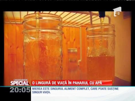 Special! Beneficiile apei îndulcite cu miere de albine