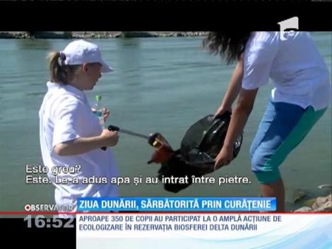 Ziua Dunării, sărbătorită prin curățenie