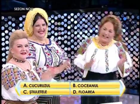 Rândul 1: Ce parte a porumbului este folosită drept combustibil?