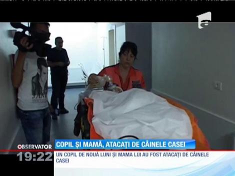 Copil și mamă, atacați de un câine pitbull