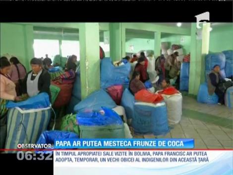 Papa Francisc ar putea mesteca frunze de coca, în timpul vizitei sale în Bolivia