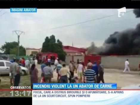 Incendiu violent la un abator de carne din Constanţa
