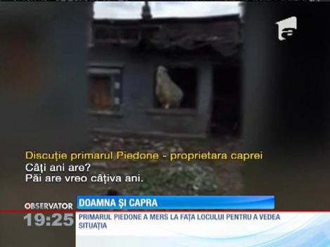 În sectorul 4, o femeie a vrut să-l convingă pe primarul Piedone că ştie să vorbească cu caprele!