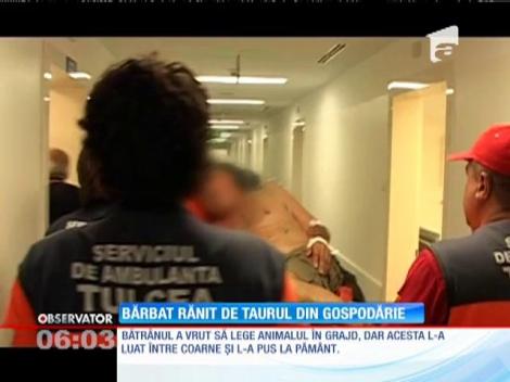 Bărbat împuns şi călcat de un taur furios