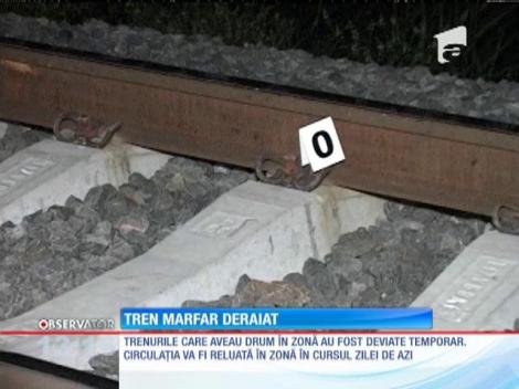 Tren deraiat pe tronsonul Blaj-Teiuş