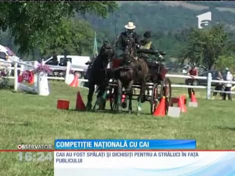 Campionatul Național de atelaje cu doi cai a avut loc la Bistrița-Năsăud