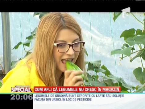 SPECIAL! Cum afli că legumele nu cresc în magazin