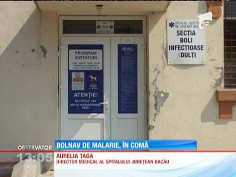 Pacient bolnav de malarie, în comă