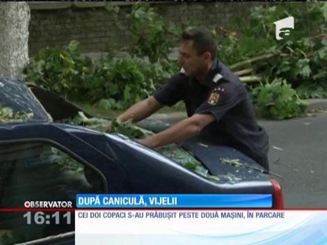 O vijelie a făcut ravagii azi la Deva