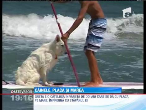 Cățelușa Greta se dă cu placa pe mare