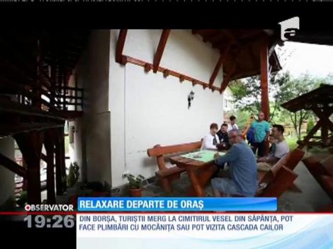 Relaxare departe de oraș, în zona Borșa