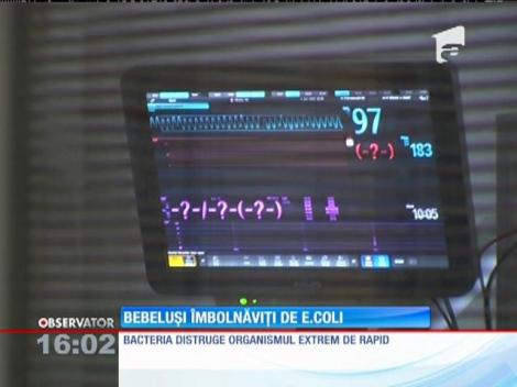 Trei bebeluşi s-au intoxicat cu E.coli, supranumită "bacteria ucigaşă"