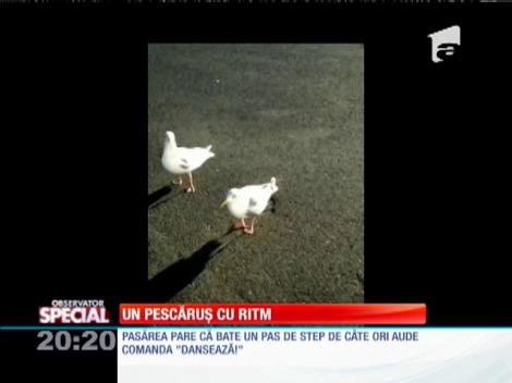Special! Un peşcăruş cu ritm