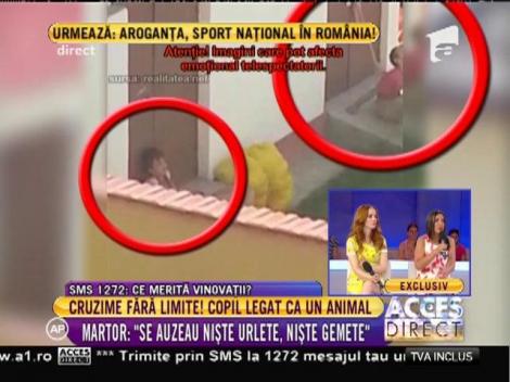 Martor: "Stăteau legaţi în soare chiar şi pe caniculă"