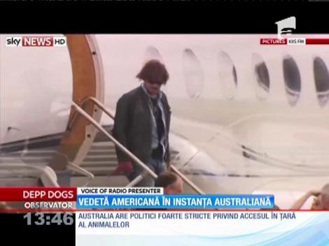 Amber Heard pusă sub acuzare că şi-a adus câinii în Australia fără să îi declare la vamă