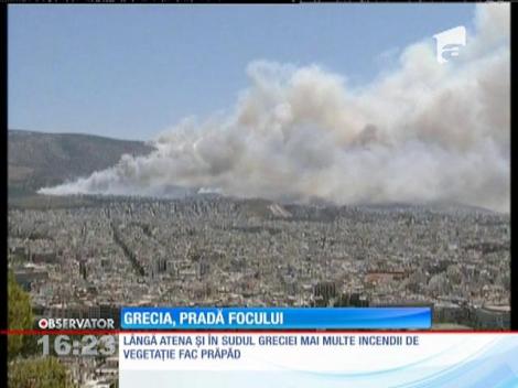 Incendii uriașe de vegetație în sudul Greciei
