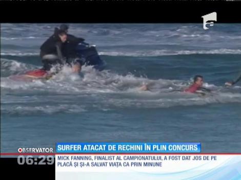 Un surfer a scăpat cu viaţă după ce a fost atacat de doi rechini