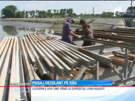 Peștii din Mureș mor din cauza lucrărilor la cele două baraje din zonă