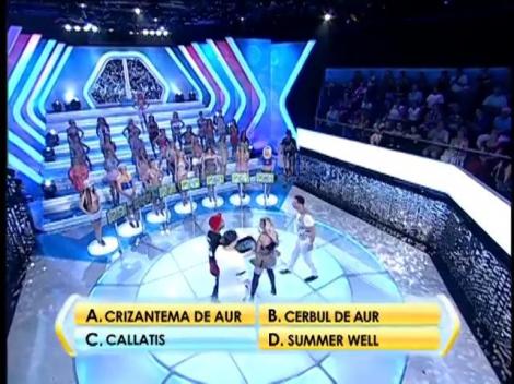 Rândul 4: Ce festival de muzică a fost emblema Mangaliei?