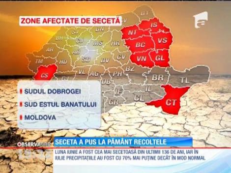 Seceta a pus la pământ recoltele