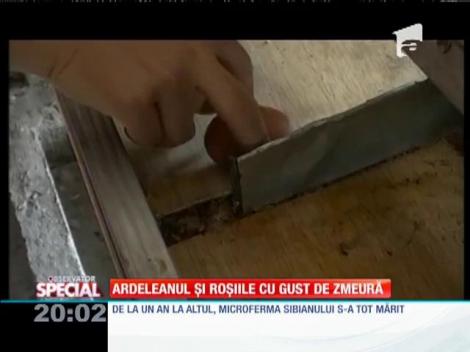 SPECIAL! Ardeleanul şi roşiile cu gust de zmeură