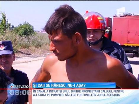 Zeci de pompieri s-au chinuit să salveze un cal căzut într-un canal