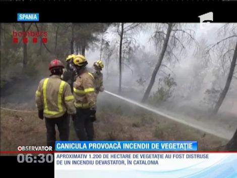 Incendiile de vegetaţie fac ravagii în Europa