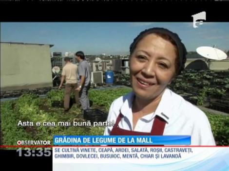 Grădina de legume de la mall