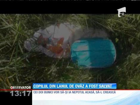 O mamă şi-a lăsat pruncul pe un câmp