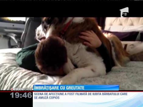 Un câine St Bernard îşi copleşeşte stăpânul cu afecţiune
