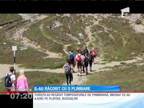 Sute de turişti s-au răcorit pe munte